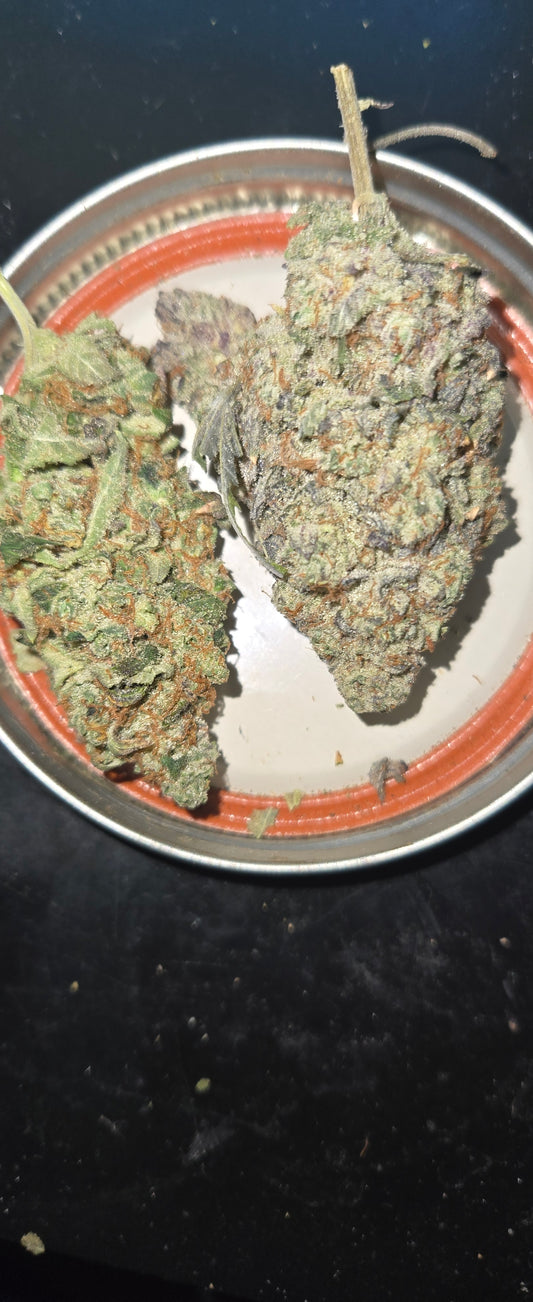 Hebrew Exotic Top Buds (Premium) 8th  3.5gs Sativa Dominant