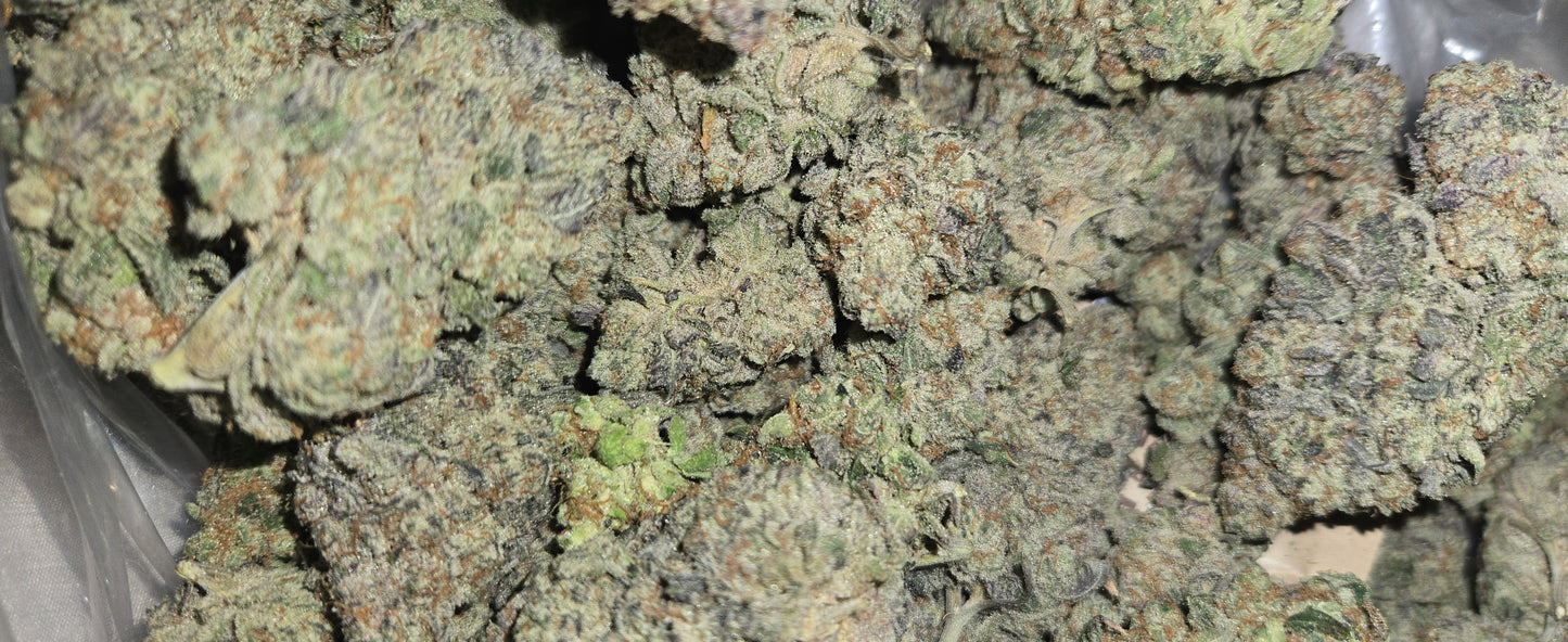 Hebrew Exotic (Premium) 8th  3.5gs Sativa Dominant