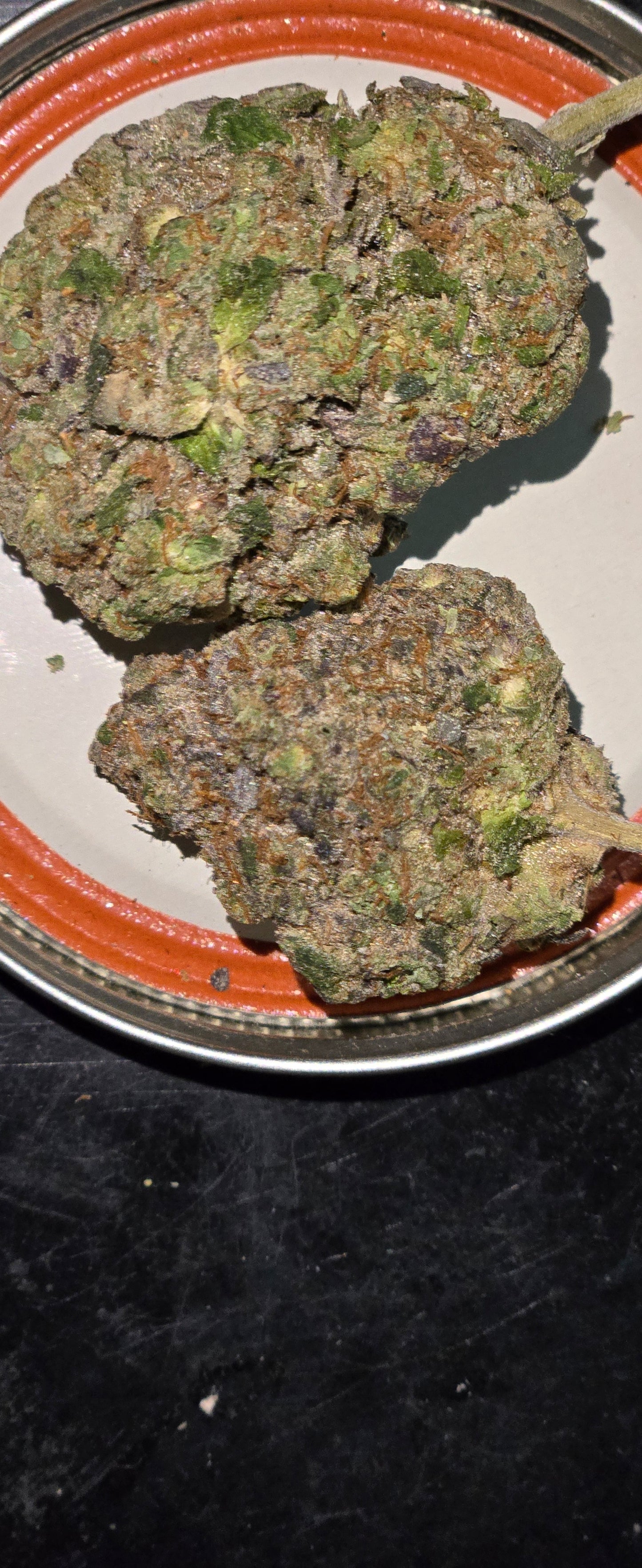 Watermelon Gelato Quater 8th 3.5gs Indica